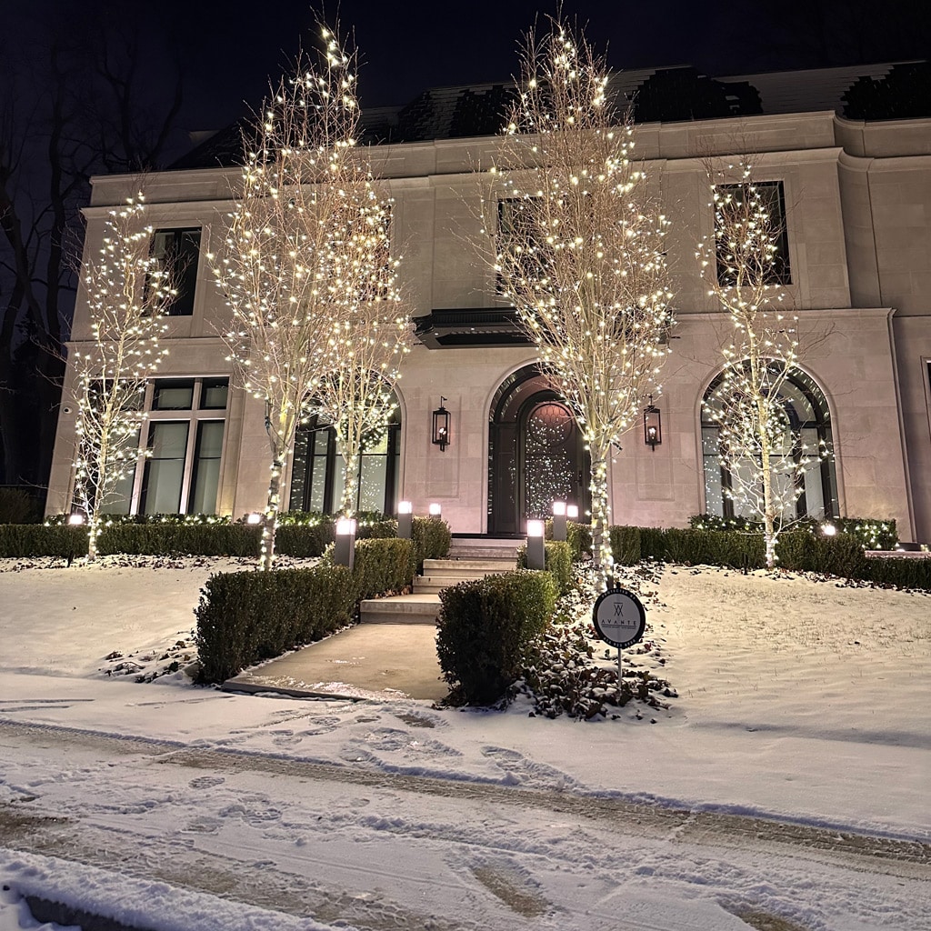 White Lights Christmas Lights Toronto