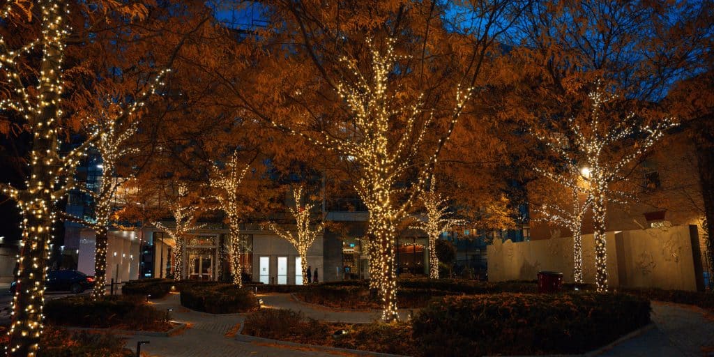 Rose Garden Christmas Lights Toronto